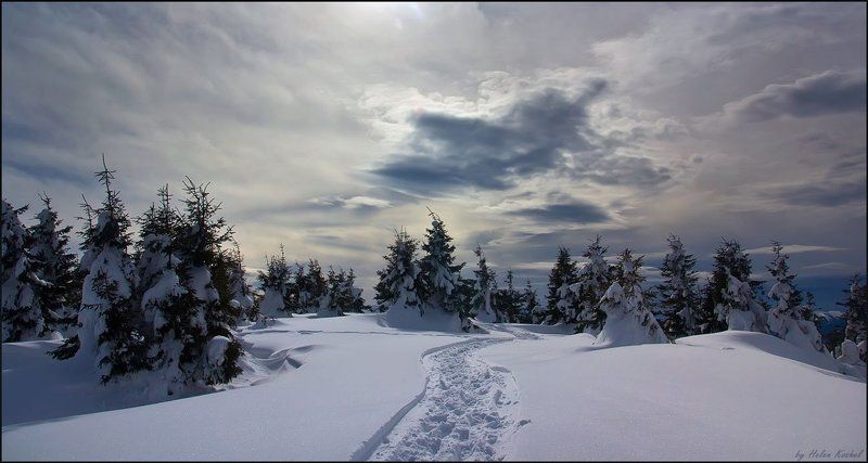 Прогулка Карпатамиphoto preview