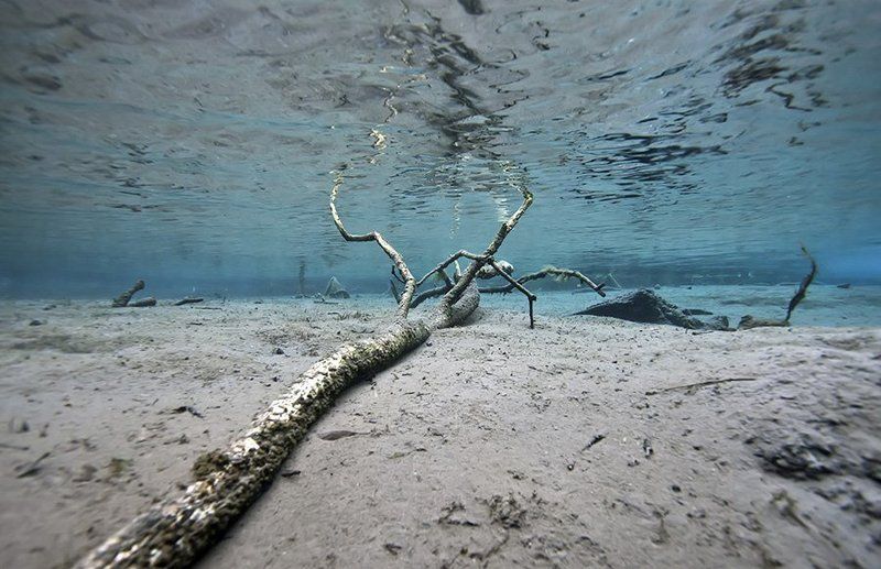 Бирюзаphoto preview