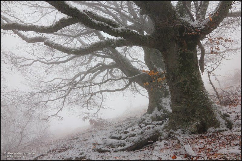 Зимние сказки Демерджи...photo preview