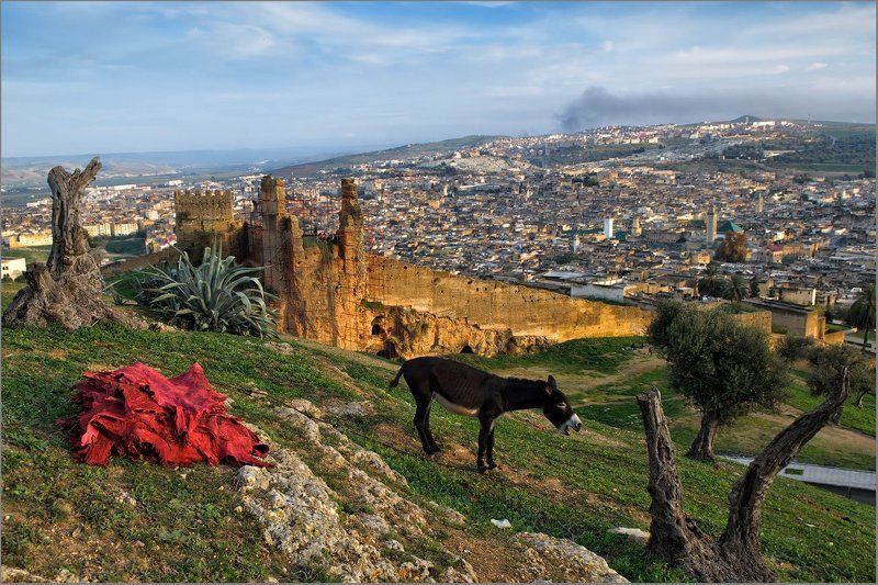 фес, марокко Когда умолкнут все песни..photo preview