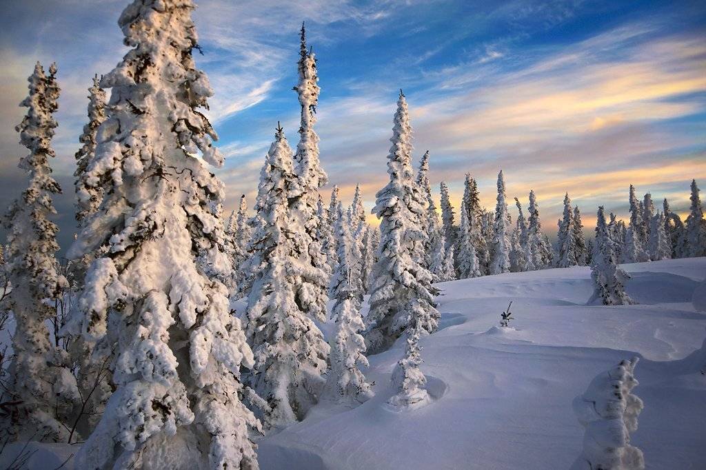 Pro живописный Шерегеш.... Автор: Валерий Пешков шерегеш, гора зеленая, вечер, пихты, свет, краски, горная шория, Валерий Пешков