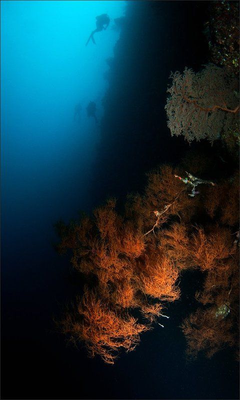 глыбако Из глыбины идём домой фото превью