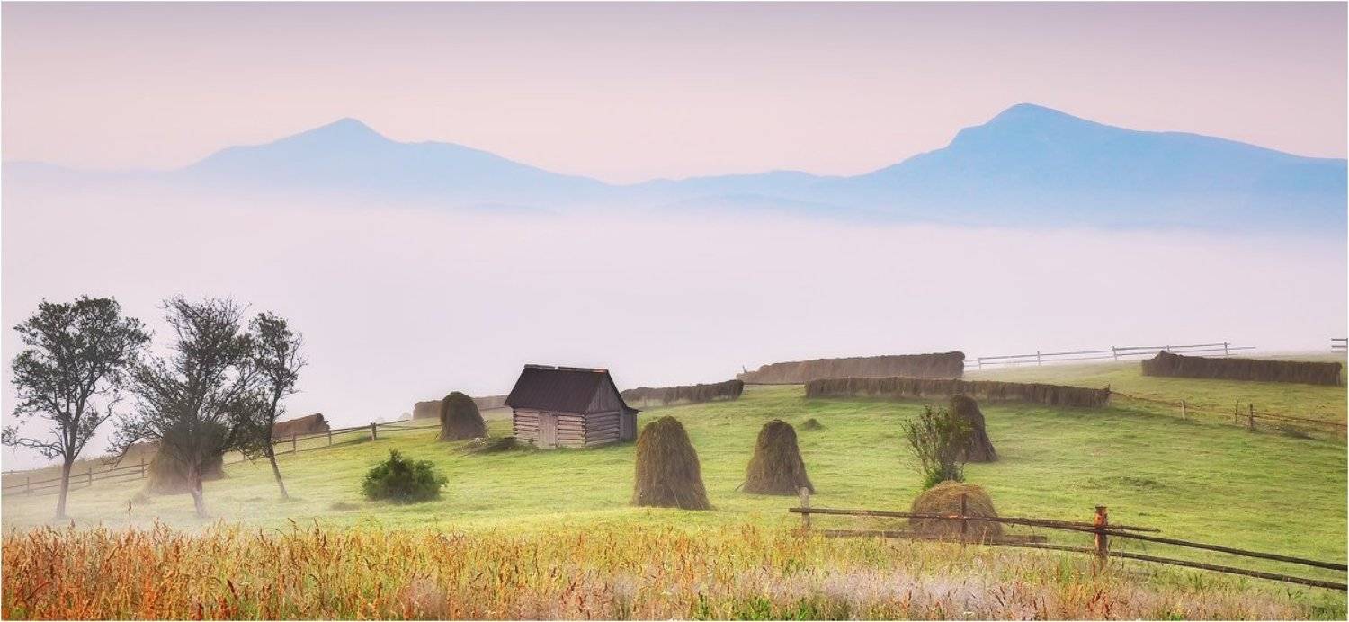 , Денис Кривой