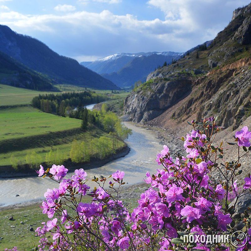 Весна на Алтаеphoto preview