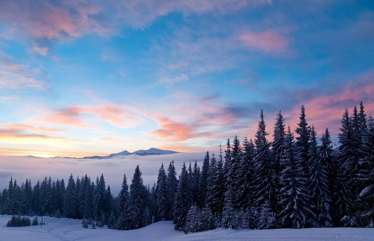 Утро в Карпатах. Автор: максим куташев , максим куташев