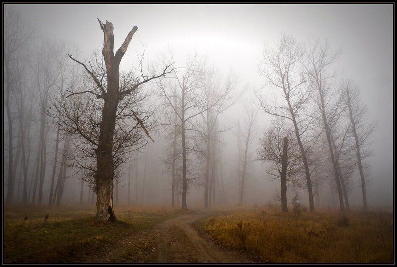 bulgaria photo preview