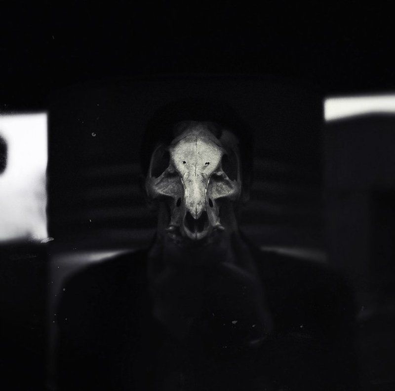 skull and cross-bonesphoto preview