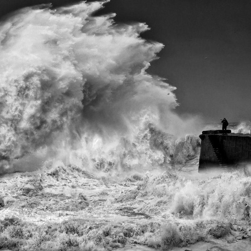 passion for photographyphoto preview