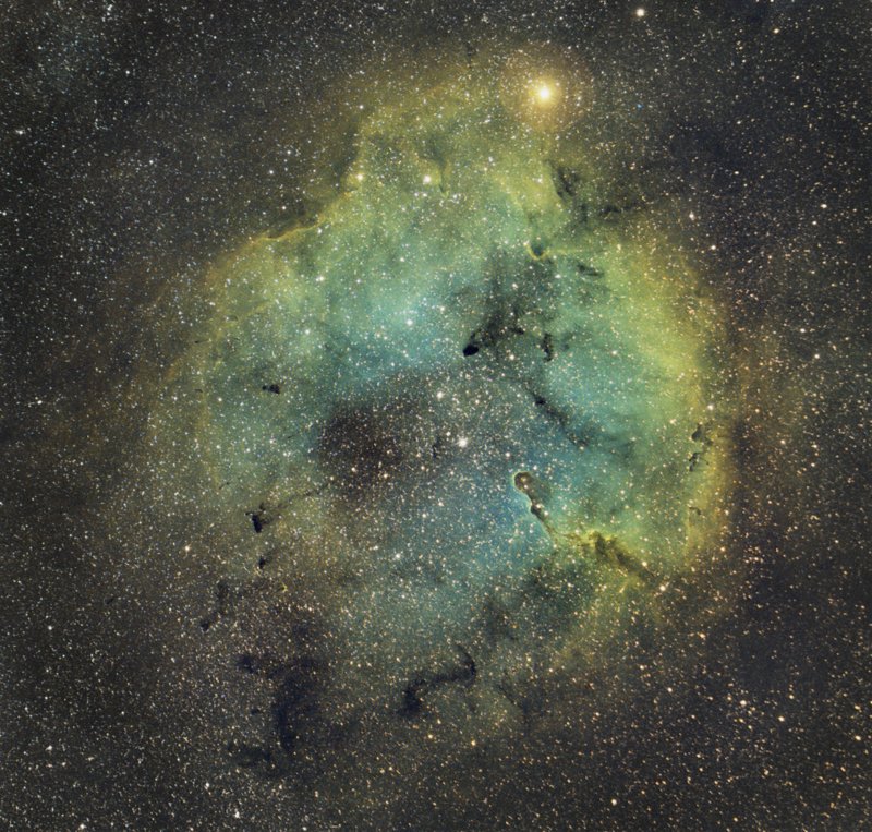 ic1396, astrophoto, cepheus, longexposure, nightphotography, universe, elephant, trunk Elephant trunk nebula IC1396photo preview