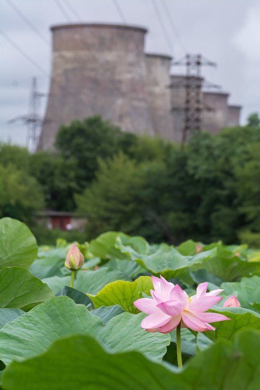 Cовместить несовместимоеphoto preview