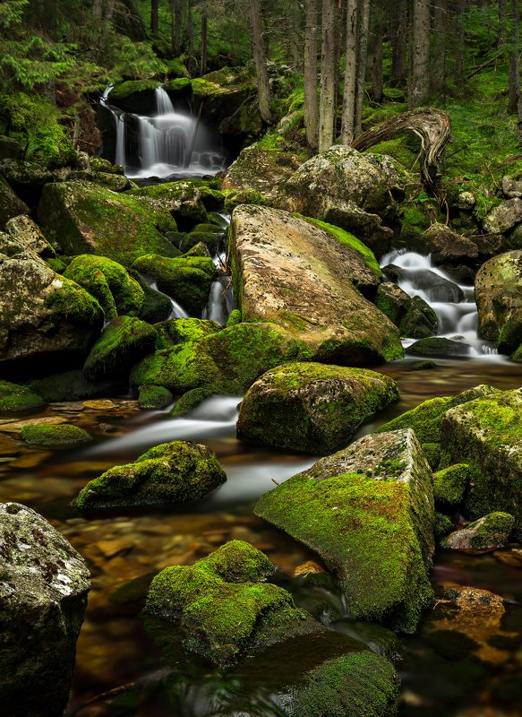 autumn, trees, river, green, waterfall, travel, nature, landscape, romania, retezat Green Forestphoto preview