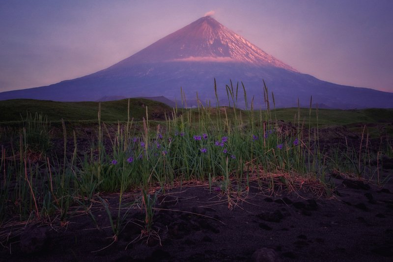 камчатка,вулкан,ключевская сиреневое утроphoto preview