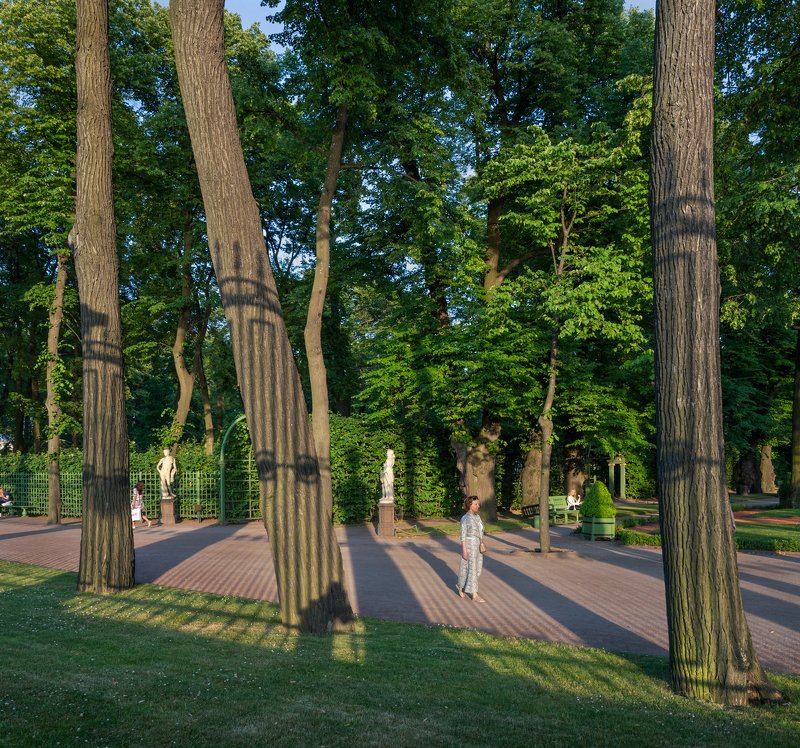 Летний сад, тени, вечер, деревья, аллеи, скульптура Вечерние тени Летнего садаphoto preview
