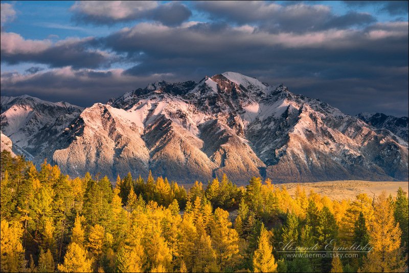 забайкалье, кодар ~ Кодар ~ фото превью