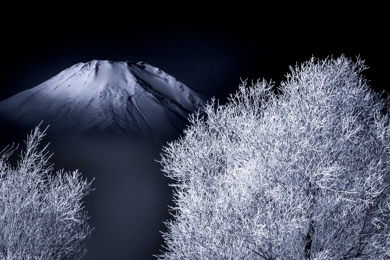 Fuji,Japan,mountain,snow,tree,cool,winter,rime,ice The white worldphoto preview