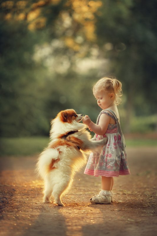 малышка собачка лето  Ну, Бублик!photo preview