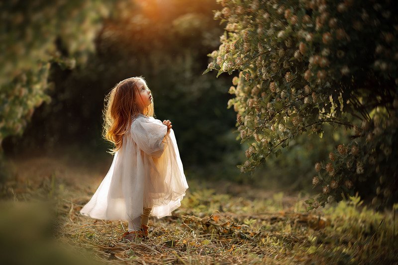 Волшебный садphoto preview