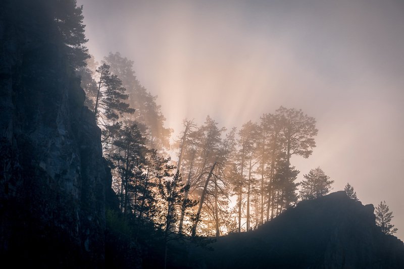 Сквозь утренний туман.photo preview