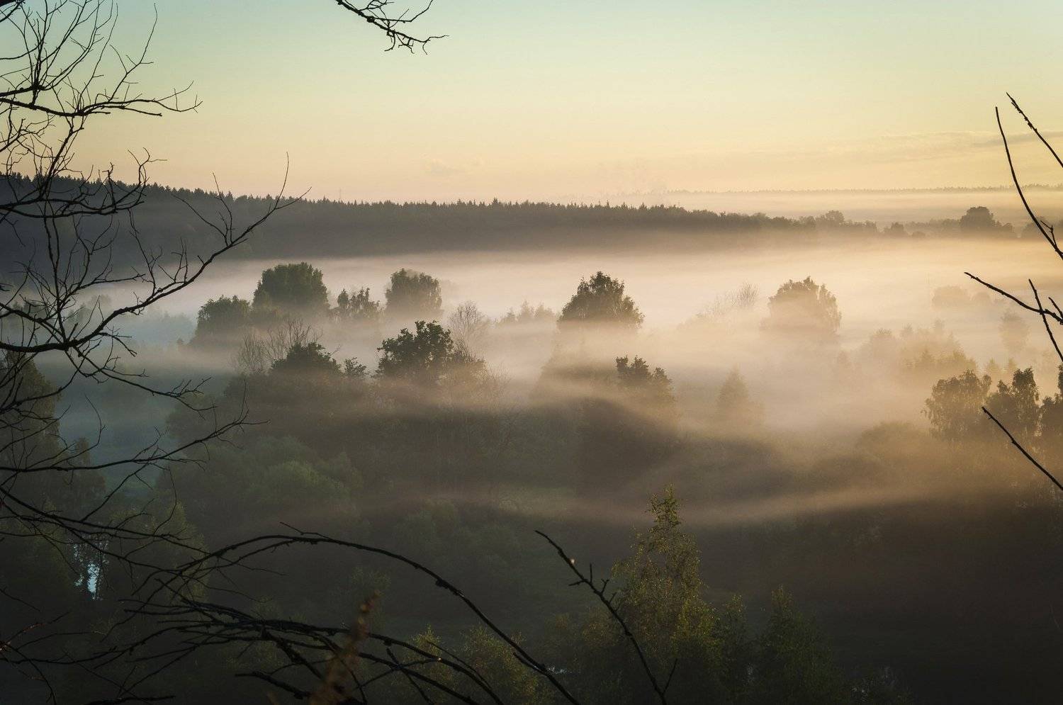 Утро на р. Истра. Автор: Александр Кыров , Александр Кыров
