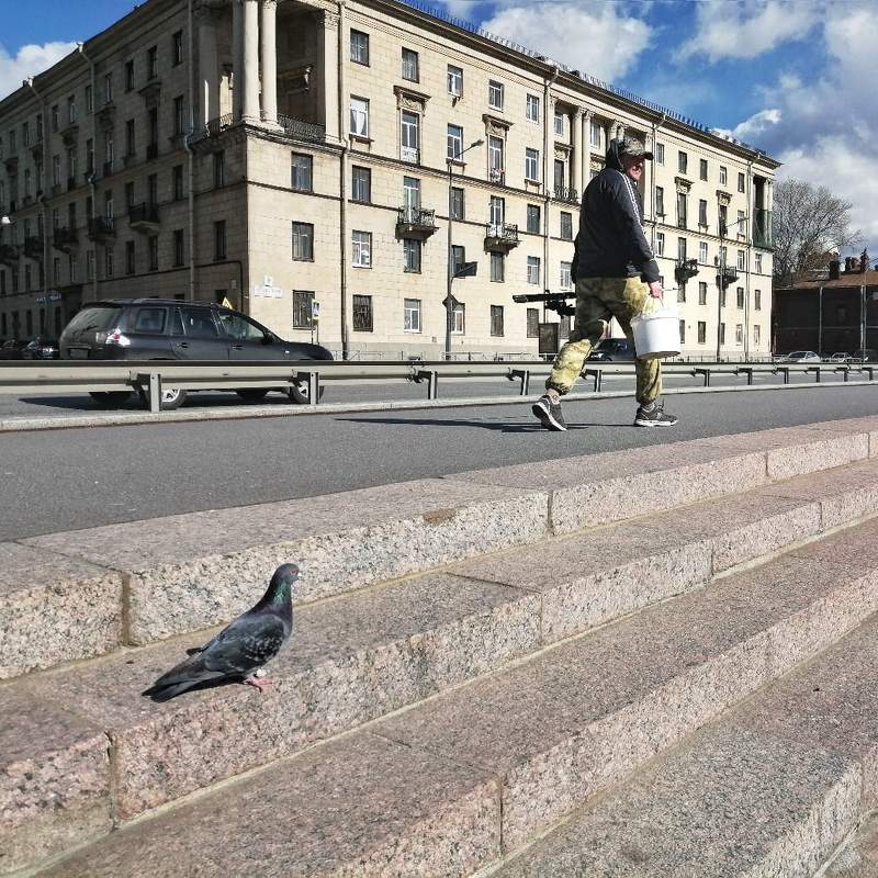 куда пошелphoto preview