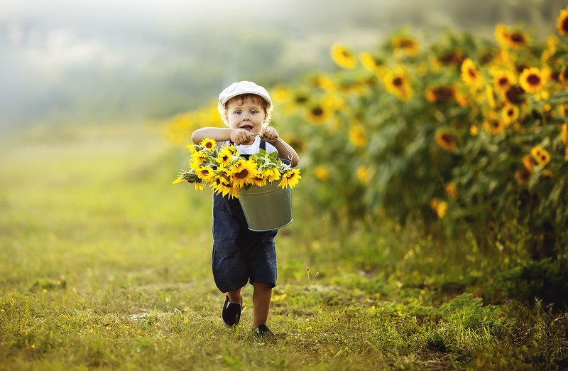 подсолнухи, ребенок, детский портрет, детский фотограф Так весело в подсолнухахphoto preview