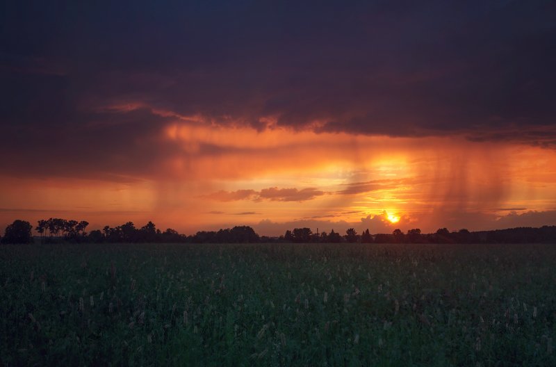 пушкин, царскоесело, царское, питер Рассвет без тумана;)photo preview