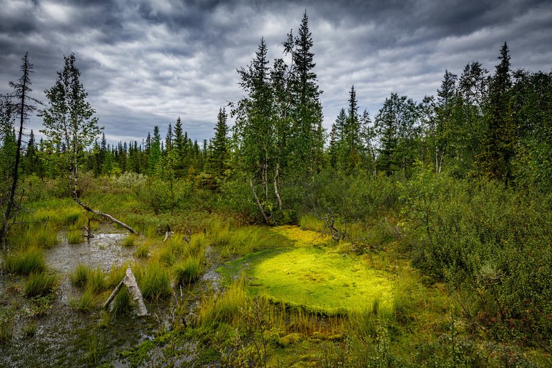 Болотоphoto preview