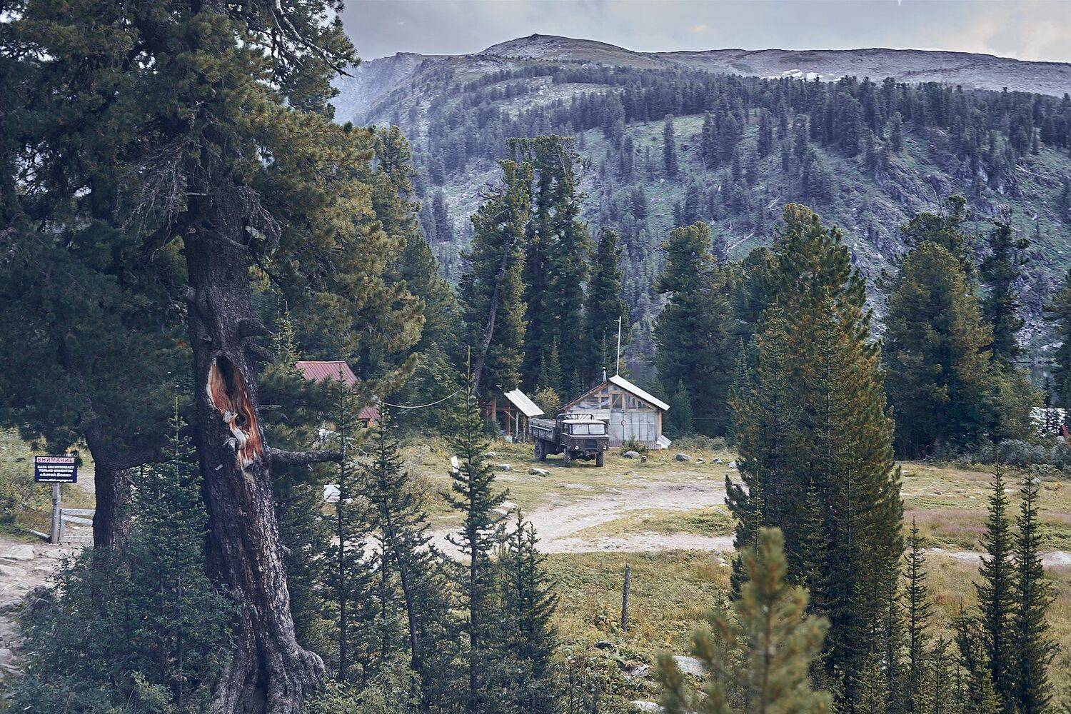 Автор: Никита Арзамасов , Никита Арзамасов