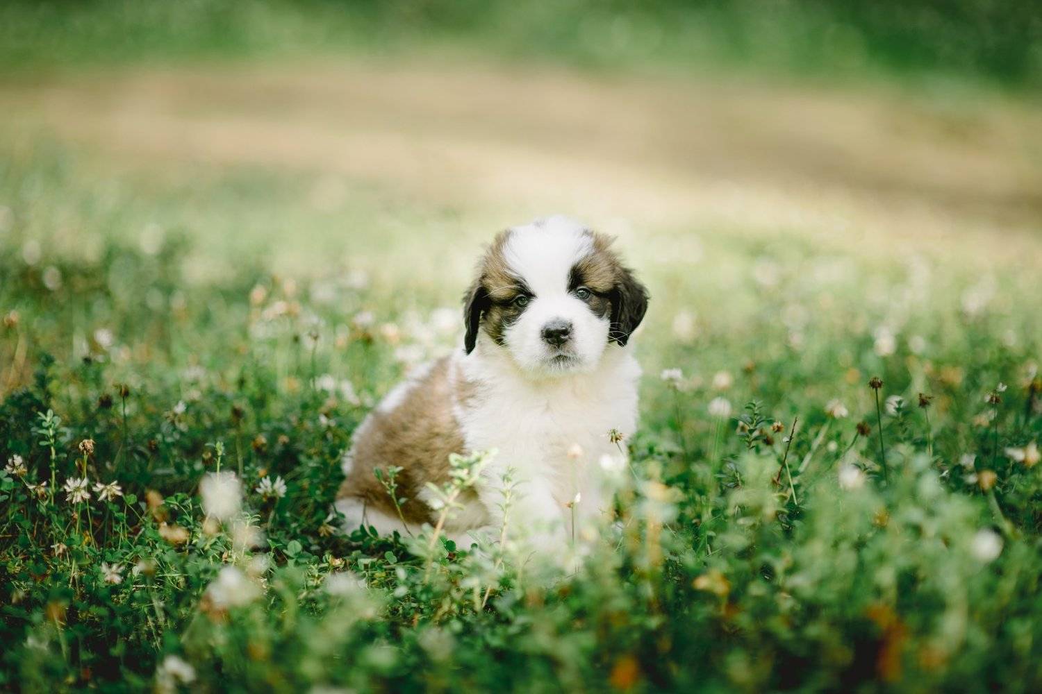 , Мугатин Максим