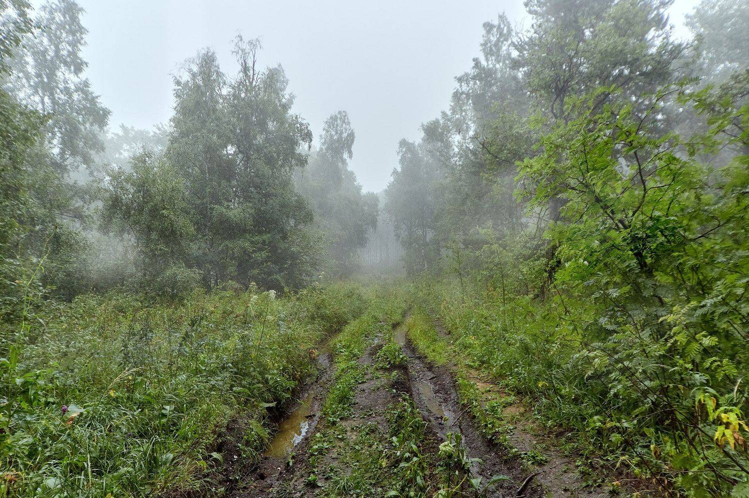 южный урал,оренбургская область, орск, новотроицк,башкирия, башкертостан, Качурин Алексей
