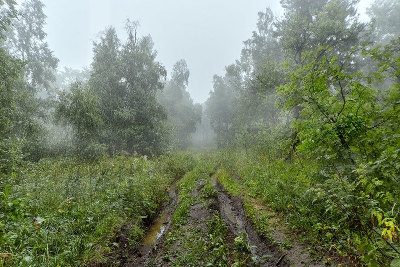 южный урал,оренбургская область, орск, новотроицк,башкирия, башкертостан Лесная дорога!photo preview