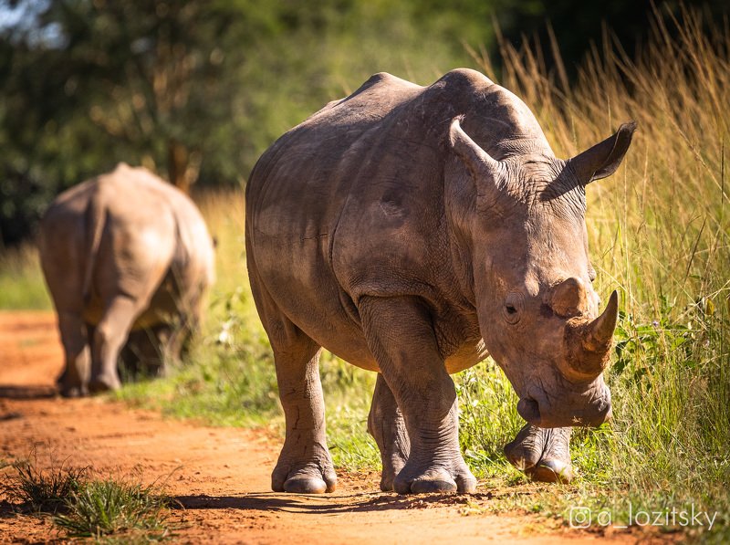 Угандаphoto preview