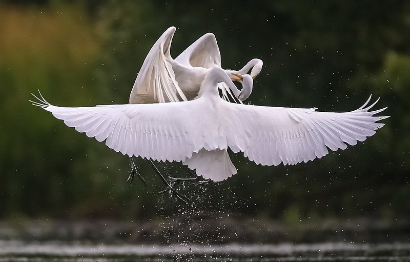 Интриги...photo preview