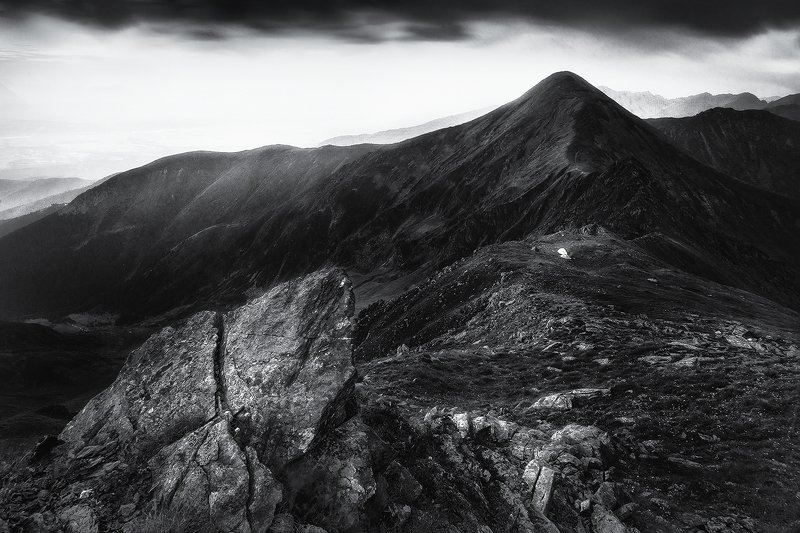 Assimilatephoto preview