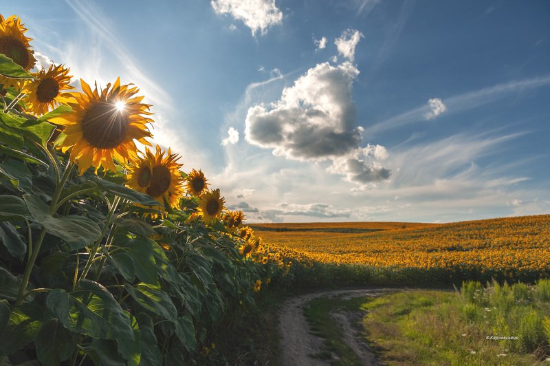 Хорошее настроениеphoto preview