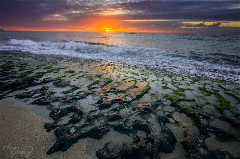 гавайи, оаху, остров, морской пейзаж, фототур, пшишылны, океан Черепаший пляжphoto preview