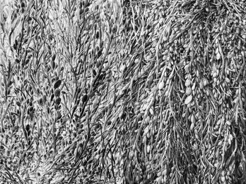 nature The inverted worldphoto preview