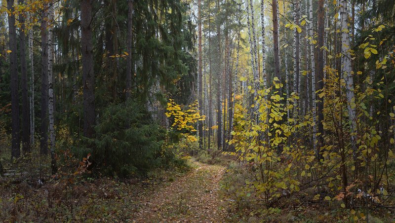 В начале октября фото превью
