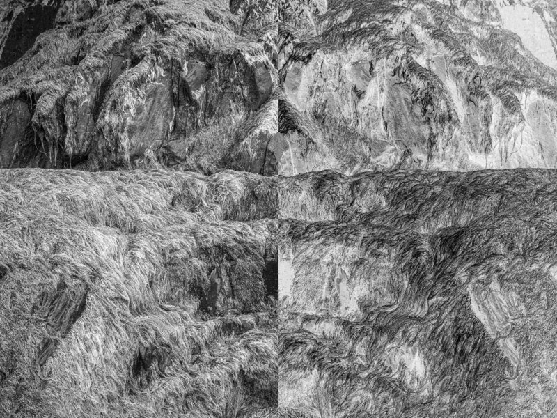 nature, inverted world, black and white photography, diptych, black and white, digital photography, conceptual. contemporary, fine art photography,  The inverted worldphoto preview