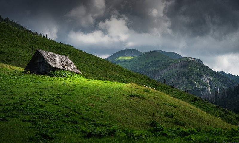 #landscape #panoramic #photo #nikon  #adventure #mountains #outdoors #nature #forest #grass #light #storm Tatra Valleyphoto preview