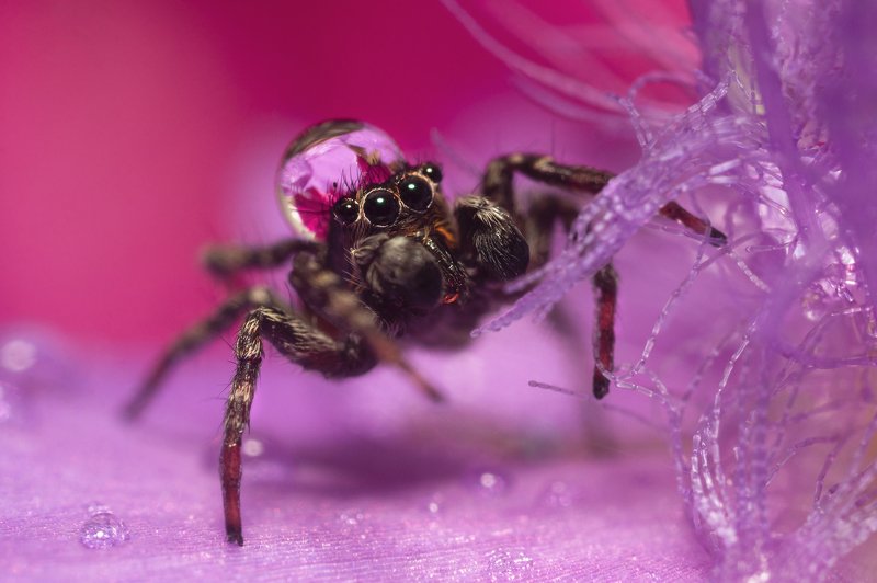 В цветастой шапочкеphoto preview