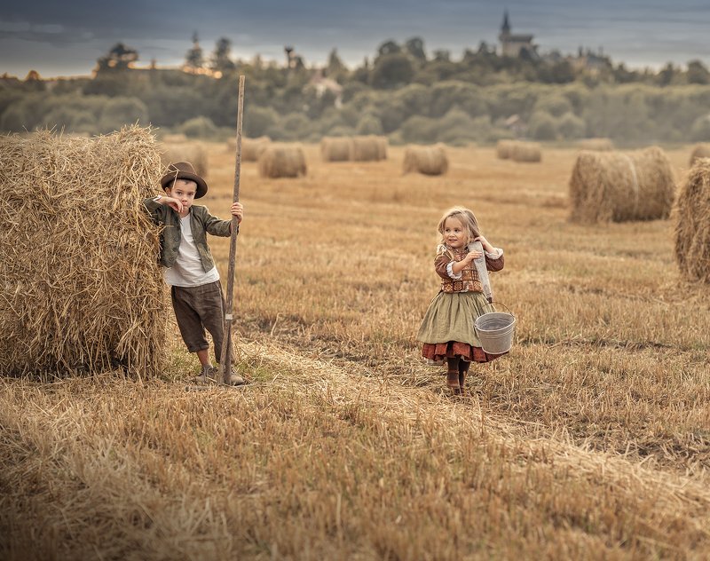 Сенокосphoto preview