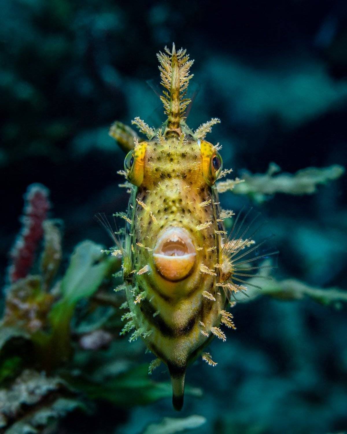 3D V I E W. Автор: Андрей Савин , Андрей Савин