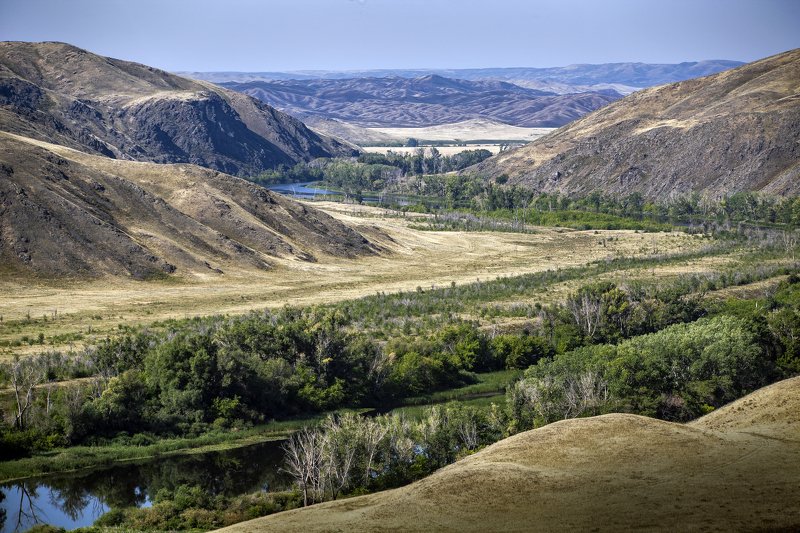 медянка. Медянка.photo preview
