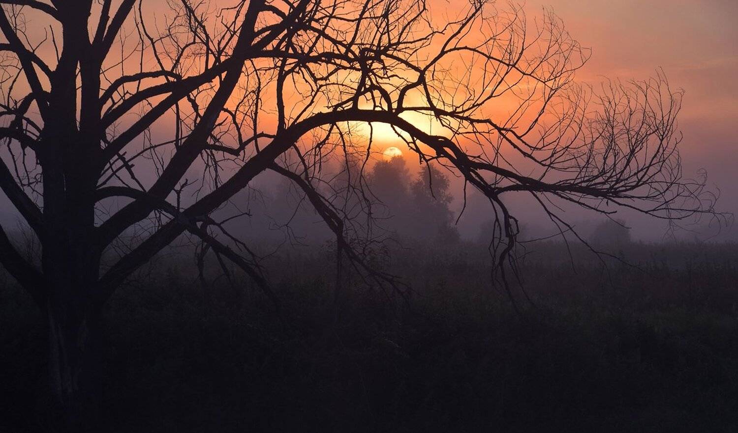 .... Автор: Макеев Алексей , Макеев Алексей