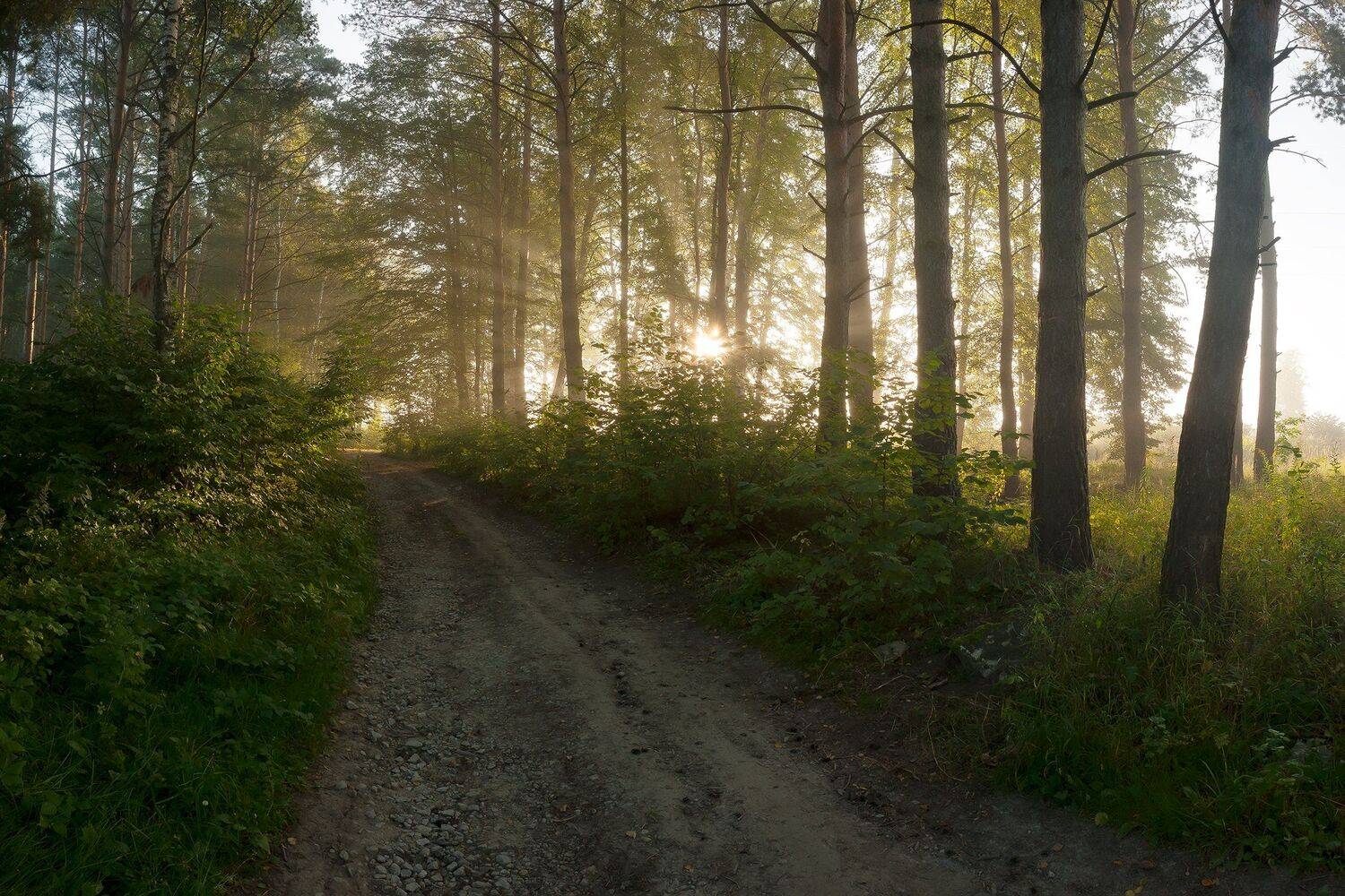 Автор: Виталий Стрельцов , Виталий Стрельцов
