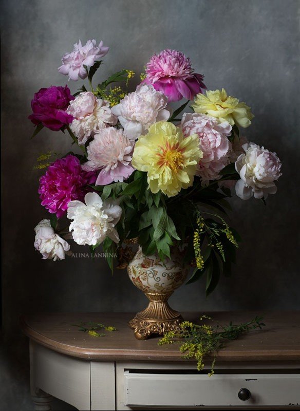 натюрморт, цветы, пионы, арт, алина ланкина, художественный натюрморт, натюрморт с цветами, лето, свет ***photo preview