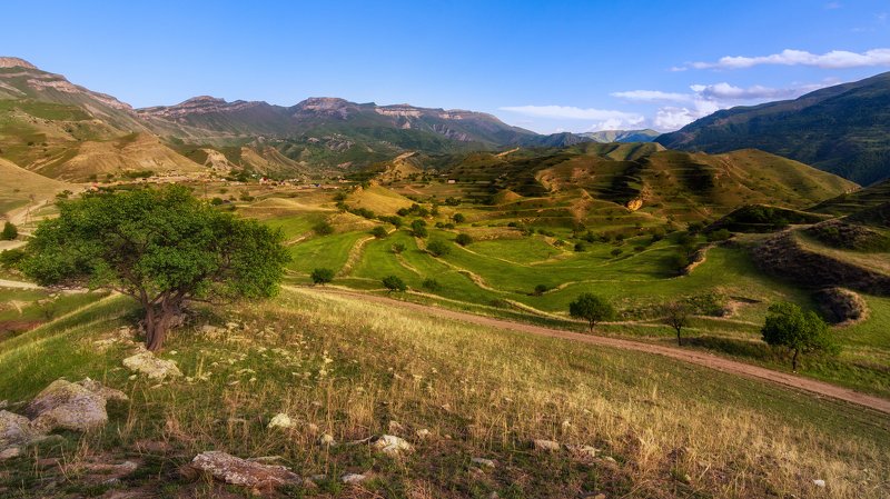 Там, где родилось террасное земледелиеphoto preview