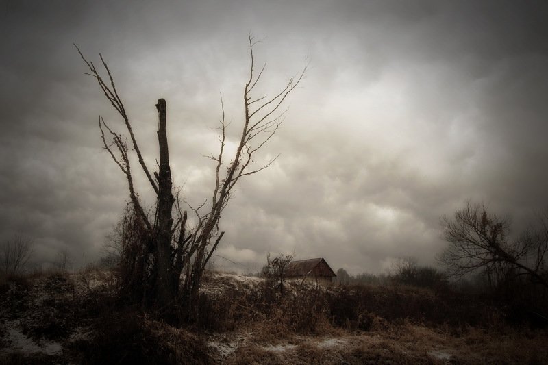 беларусь, осень, дом, деревня, дерево Abandonedphoto preview