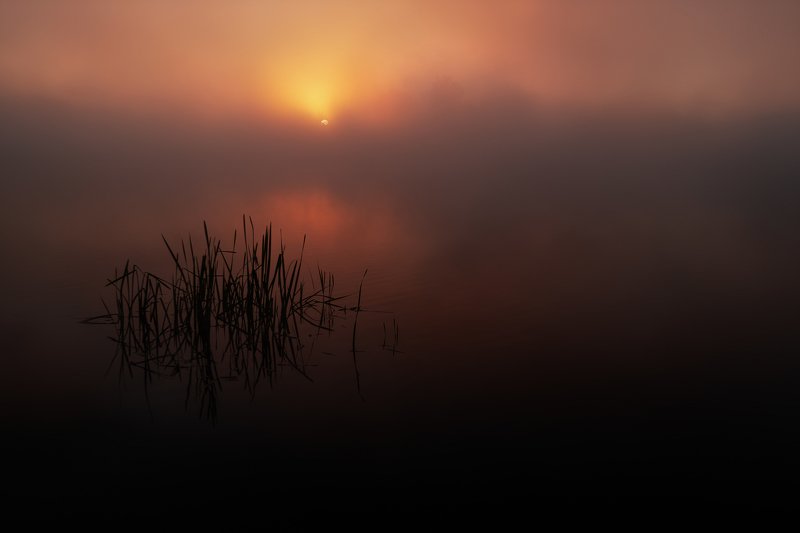 morning, fog, sky, sunrise Morning fogphoto preview
